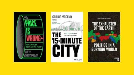 Three book covers of recent sustainability books on a yellow background.