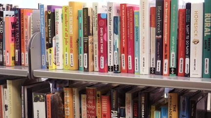 Photo of books on a library shelf.