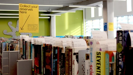 Photo of one of our reserve shelves.