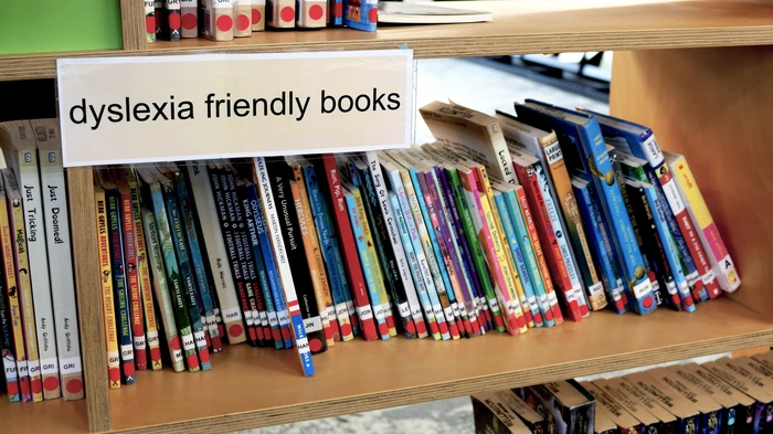 A photo of some of our Dyslexia friendly collection.