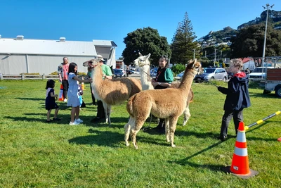 A girl and her younger sister gently stroke the neck of Harvey the guanaco, watched on by librarians.