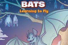 Cover image of Bats: Learning to fly