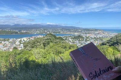 A reader is holding their book on top of Mount Kaukau, with the vista of Wellington Harbour laid out behind them.