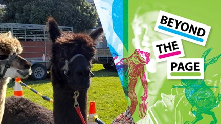 The beyond the page logo, next to a picture of a black alpaca and a brown alpaca.