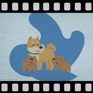 A film negative style border around an image of a family of three dogs standing on a blue splotch