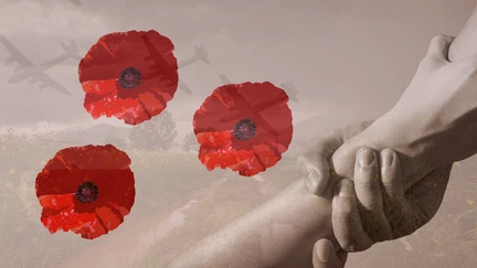 Poppies, war planes in the sky, and a hand pulling another hand up over a field