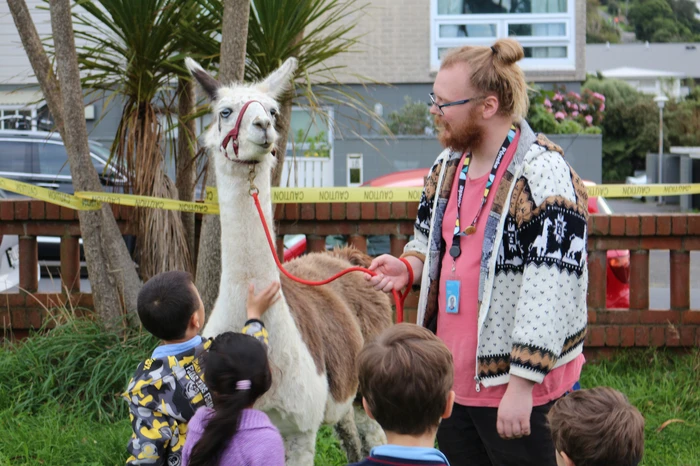 A young child is stroking the neck of a llama as other children look on. The lla