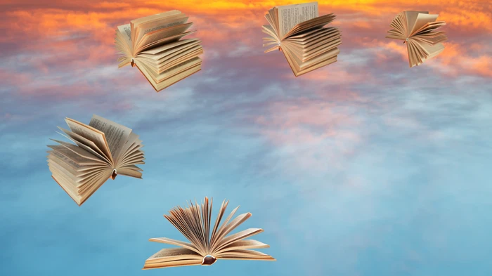 Books fly through the air in front of a colourful sunset, using their pages as w