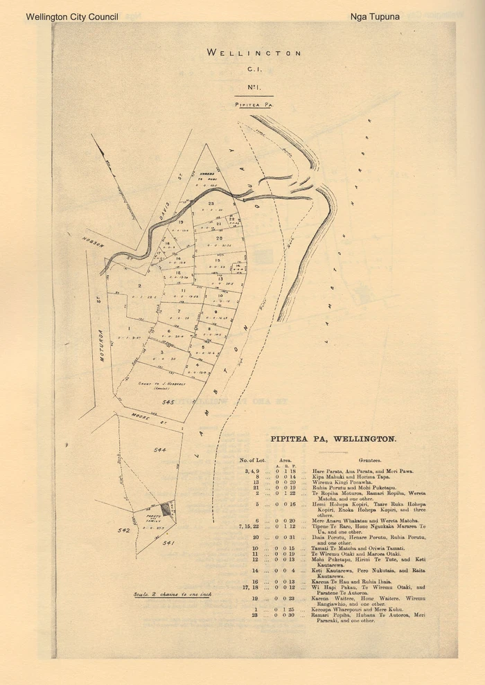 Pipitea Pā, Wellington - Map C.1. No 1. showing all the Pipitea pā properties together with grantees.