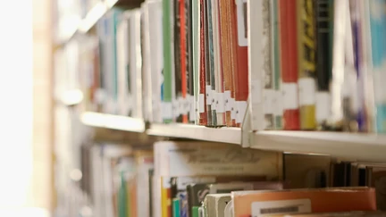 Library books on a shelf