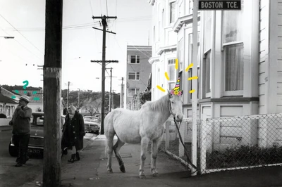 Black and white photo from 1974 of a horse tied to a street sign. Super-imposed on the horse's head is a rainbow unicorn horn.