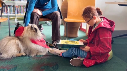 A girl is sitting on a cushion on the floor, next to a large, fluffy dog wearing a Canine Friends scarf