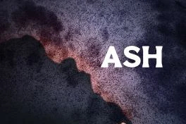 Book cover: Ash by Louise Wallace