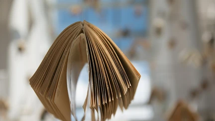 A book appears to be flying through the air, using its covers as wings.