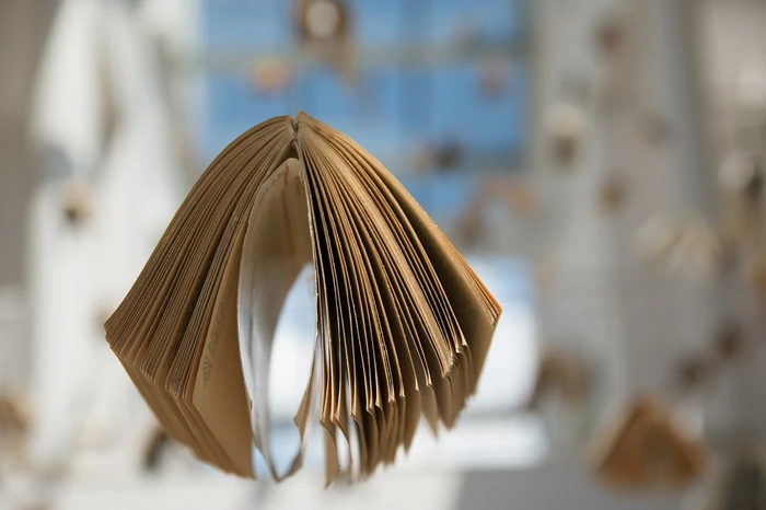 A book appears to be flying through the air, using its covers as wings.