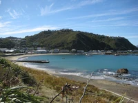 The photo is taken from the west end of Island Bay, looking out over the beach and hills in the distance.