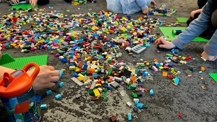 A huge pile of LEGO pieces of various shapes, sizes and colours.