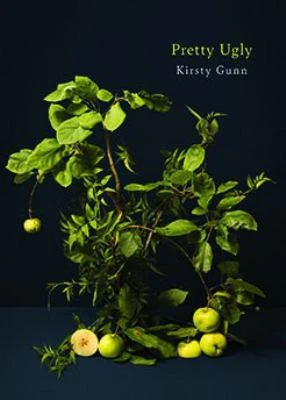 Book cover: Pretty ugly, by Kirsty Gunn