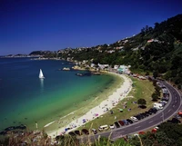 An aerial view of Scorching Bay showing the nearby cafe, grass, sand, and water shading from green to deep blue.