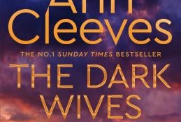 Book cover: The dark wives, by Ann Cleeves