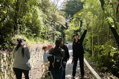 A group walking down a path through bushes and trees. Children look up as a Zealandia educator gestures towards a tree leaning over the path